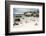 African Penguins on Sand at Foxy Beach with Residential Homes in Background-Kimberly Walker-Framed Photographic Print