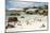 African Penguins on Sand at Foxy Beach with Residential Homes in Background-Kimberly Walker-Mounted Photographic Print