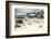 African Penguins on Sand at Foxy Beach with Residential Homes in Background-Kimberly Walker-Framed Photographic Print