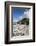 African Penguins (Spheniscus Demersus) on Foxy Beach, Simon's Town, Cape Town-Ann & Steve Toon-Framed Photographic Print