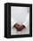 African Priest, Cotonou, Benin, West Africa, Africa-Godong-Framed Premier Image Canvas