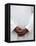 African Priest, Cotonou, Benin, West Africa, Africa-Godong-Framed Premier Image Canvas