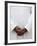 African Priest, Cotonou, Benin, West Africa, Africa-Godong-Framed Photographic Print