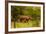 African Rhino and Baby, Kruger National Park, Johannesburg, South Africa, Africa-Laura Grier-Framed Photographic Print