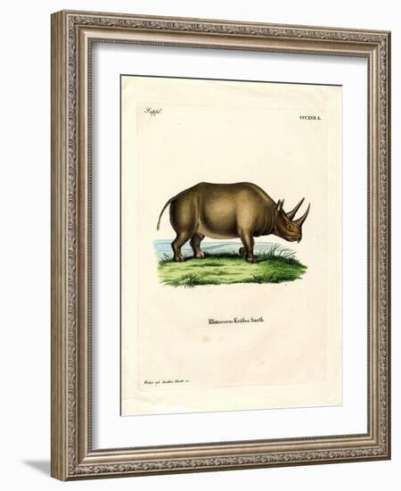 African Rhinoceros-null-Framed Giclee Print