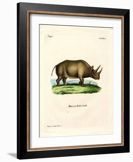 African Rhinoceros-null-Framed Giclee Print