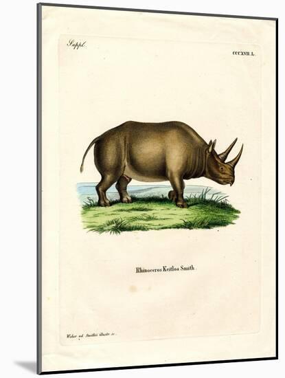 African Rhinoceros-null-Mounted Giclee Print