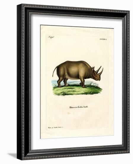 African Rhinoceros-null-Framed Giclee Print