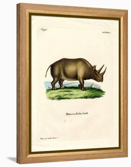 African Rhinoceros-null-Framed Premier Image Canvas