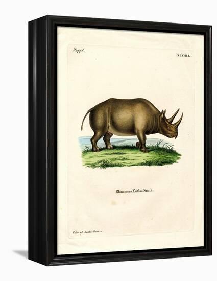 African Rhinoceros-null-Framed Premier Image Canvas