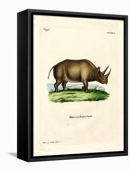 African Rhinoceros-null-Framed Premier Image Canvas