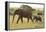 African Savanna Elephant Cow with Calf-null-Framed Premier Image Canvas