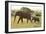 African Savanna Elephant Cow with Calf-null-Framed Photographic Print