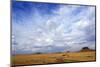 African savanna, golden plains against blue sky with clouds, Masai Mara Game Reserve, Kenya, East A-null-Mounted Photographic Print