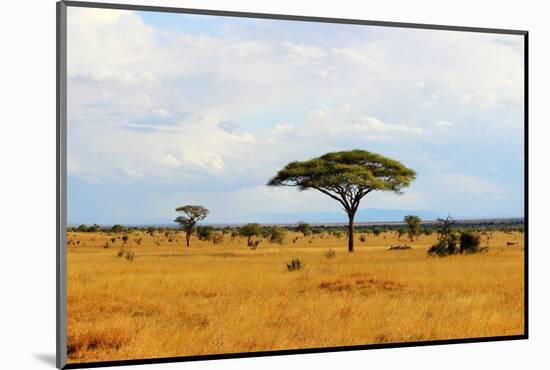 African Savannah Landscape-AndyCandy-Mounted Photographic Print