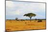 African Savannah Landscape-AndyCandy-Mounted Photographic Print