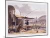 African Scenery and Animals at the Cape of Good Hope, 1804-5-Samuel Daniell-Mounted Giclee Print