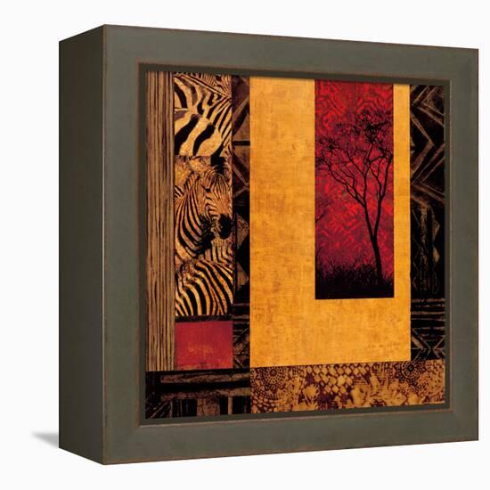 African Studies II-Chris Donovan-Framed Stretched Canvas