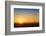 African Sunset, Kenya, East Africa, Africa-Angelo Cavalli-Framed Photographic Print