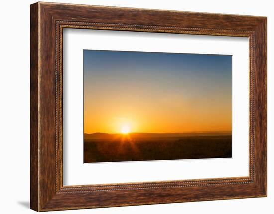 African Sunset, Kenya, East Africa, Africa-Angelo Cavalli-Framed Photographic Print