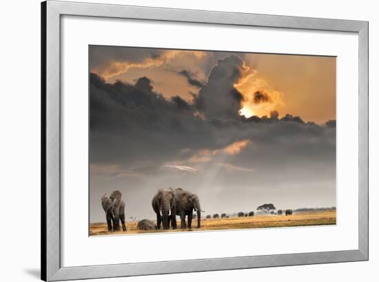 African Sunset with Elephants-Oleg Znamenskiy-Framed Photographic Print