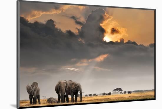 African Sunset with Elephants-Oleg Znamenskiy-Mounted Photographic Print