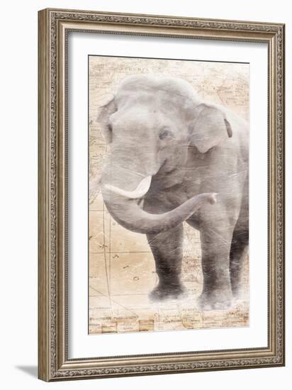 African Traveling  Animals Elephant-Jace Grey-Framed Art Print