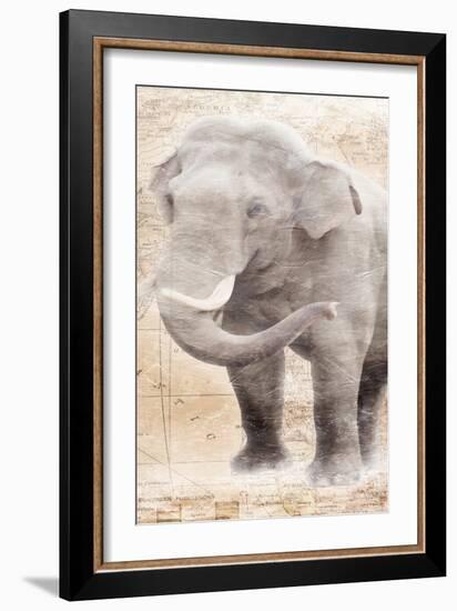 African Traveling  Animals Elephant-Jace Grey-Framed Art Print