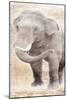 African Traveling  Animals Elephant-Jace Grey-Mounted Art Print