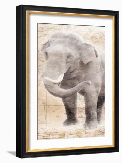 African Traveling  Animals Elephant-Jace Grey-Framed Art Print