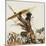 African Warriors-Mcbride-Mounted Giclee Print