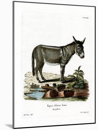 African Wild Ass-null-Mounted Giclee Print