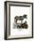 African Wild Ass-null-Framed Giclee Print