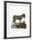 African Wild Ass-null-Framed Giclee Print