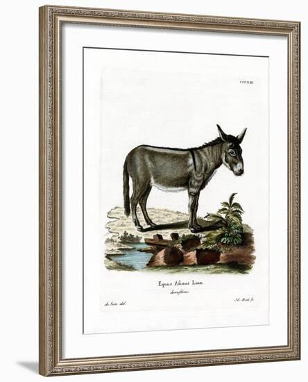 African Wild Ass-null-Framed Giclee Print