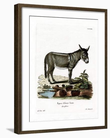 African Wild Ass-null-Framed Giclee Print