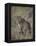 African Wild Cat (Felis Silvestris Lybica), Kruger National Park, South Africa, Africa-James Hager-Framed Premier Image Canvas