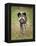 African wild dog (Lycaon pictus) portrait, Mana Pools National Park, Zimbabwe-Tony Heald-Framed Premier Image Canvas