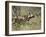 African Wild Dog, Lycaon Pictus, Venetia Limpopo Nature Reserve, South Africa, Africa-Steve & Ann Toon-Framed Photographic Print