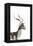 African Wild Dog - Male Impala-James Hager-Framed Premier Image Canvas