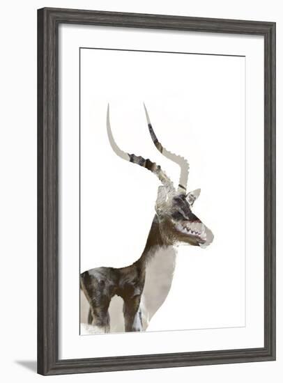 African Wild Dog - Male Impala-James Hager-Framed Photographic Print