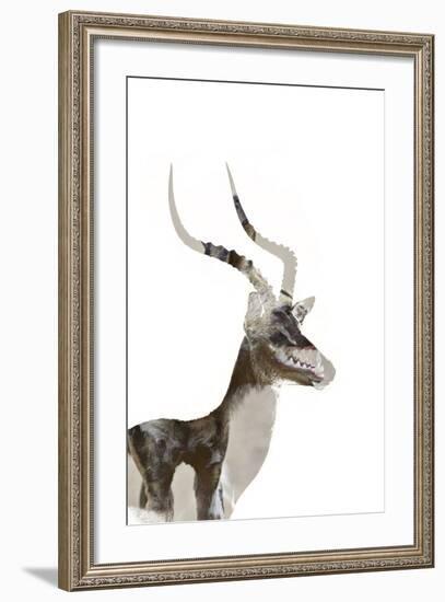 African Wild Dog - Male Impala-James Hager-Framed Photographic Print