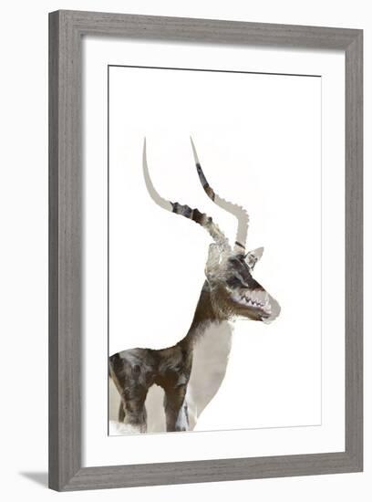 African Wild Dog - Male Impala-James Hager-Framed Photographic Print