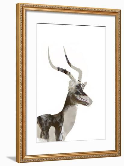 African Wild Dog - Male Impala-James Hager-Framed Photographic Print