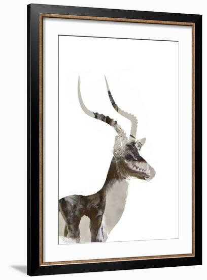 African Wild Dog - Male Impala-James Hager-Framed Photographic Print