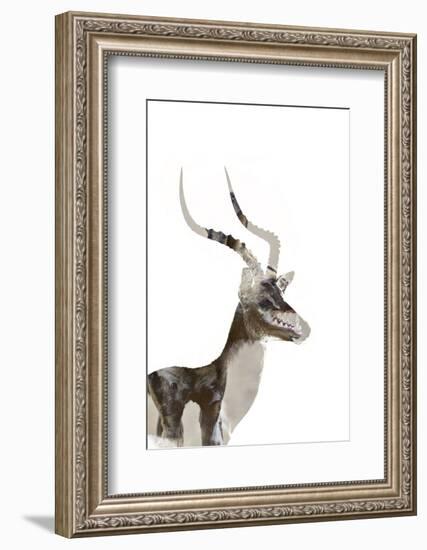 African Wild Dog - Male Impala-James Hager-Framed Photographic Print