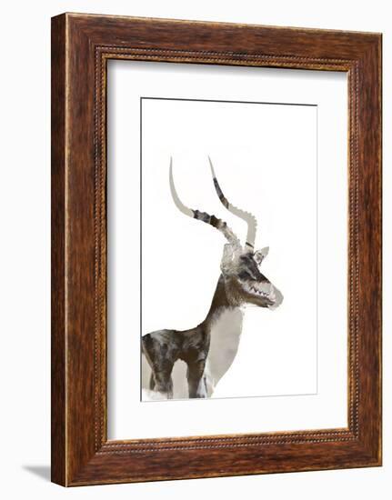 African Wild Dog - Male Impala-James Hager-Framed Photographic Print