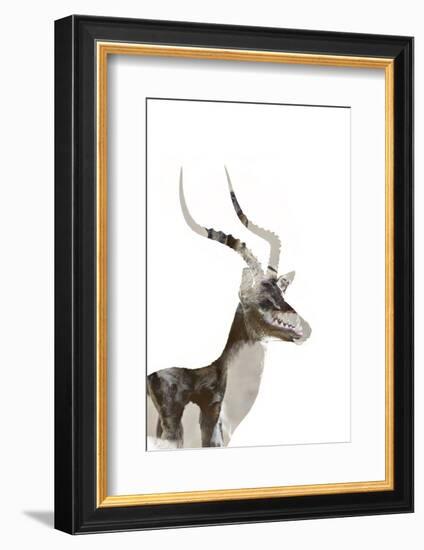 African Wild Dog - Male Impala-James Hager-Framed Photographic Print