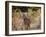 African Wild Dogs (Lycaon Pictus) Passinginfront Of Large African Elephant (Loxodonta Africana)-Tony Heald-Framed Photographic Print