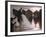 African Woman Bathing in Niger River Near Timbuktu-Eliot Elisofon-Framed Photographic Print